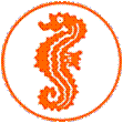 Seepferdchensticker
